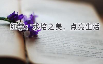 红掌:水培之美,点亮生活
