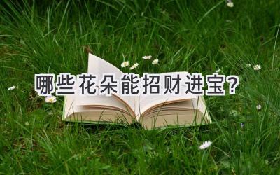 哪些花朵能招财进宝?