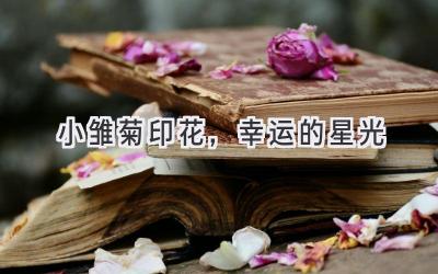 小雏菊印花,幸运的星光