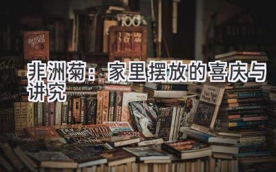 非洲菊:家里摆放的喜庆与讲究
