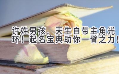 许姓男孩,天生自带主角光环!起名宝典助你一臂之力!