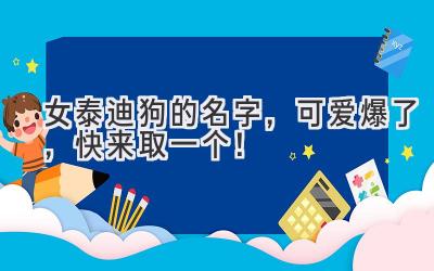 女泰迪狗的名字,可爱爆了,快来取一个!