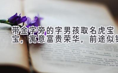  带金字旁的字男孩取名虎宝宝，寓意富贵荣华，前途似锦 