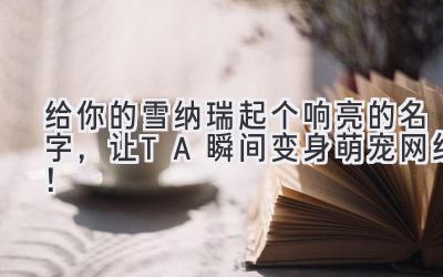 给你的雪纳瑞起个响亮的名字,让TA瞬间变身萌宠网红!