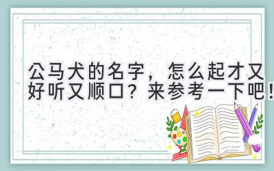 公马犬的名字,怎么起才又好听又顺口?来参考一下吧!