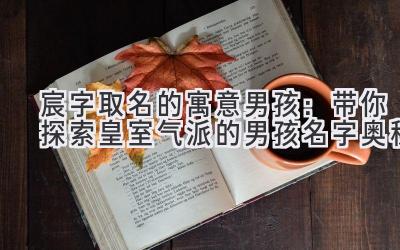   宸字取名的寓意男孩：带你探索皇室气派的男孩名字奥秘 