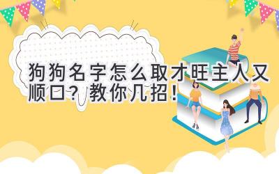 狗狗名字怎么取才旺主人又顺口?教你几招!