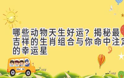 哪些动物天生好运?揭秘最吉祥的生肖组合与你命中注定的幸运星