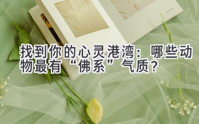 找到你的心灵港湾:哪些动物最有“佛系”气质?