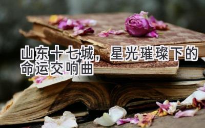 山东十七城，星光璀璨下的命运交响曲 