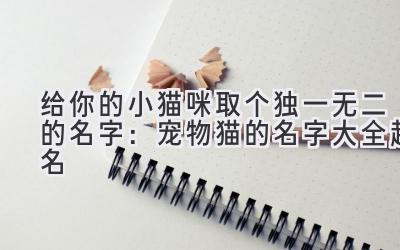 给你的小猫咪取个独一无二的名字:宠物猫的名字大全起名