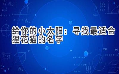  给你的小太阳：寻找最适合狸花猫的名字 