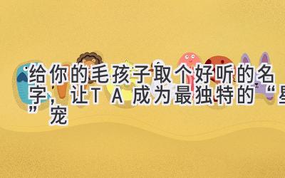  给你的毛孩子取个好听的名字，让TA成为最独特的“星”宠 