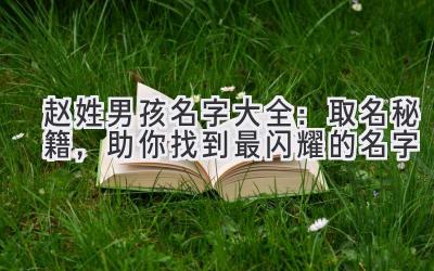 赵姓男孩名字大全:取名秘籍,助你找到最闪耀的名字
