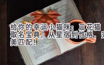 给你的幸运小猫咪:三花猫取名宝典,从星宿到性格,完美匹配!