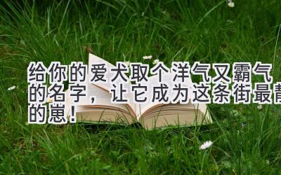 给你的爱犬取个洋气又霸气的名字,让它成为这条街最靓的崽!