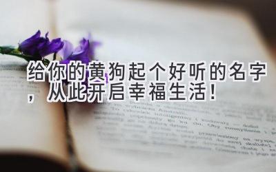 给你的黄狗起个好听的名字,从此开启幸福生活!