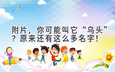 附片,你可能叫它“乌头”?原来还有这么多名字!
