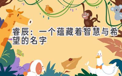  睿辰：一个蕴藏着智慧与希望的名字 