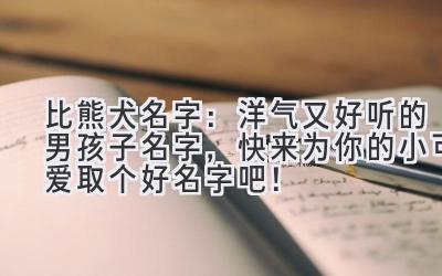 比熊犬名字:洋气又好听的男孩子名字,快来为你的小可爱取个好名字吧!