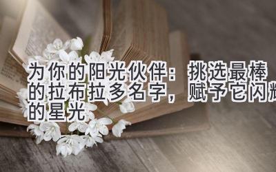 为你的阳光伙伴:挑选最棒的拉布拉多名字,赋予它闪耀的星光
