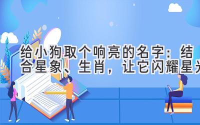给小狗取个响亮的名字:结合星象、生肖,让它闪耀星光