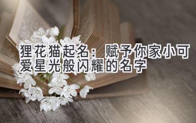 狸花猫起名:赋予你家小可爱星光般闪耀的名字