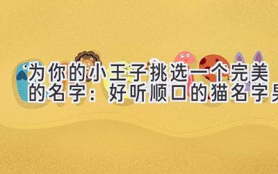  为你的小王子挑选一个完美的名字：好听顺口的猫名字男 