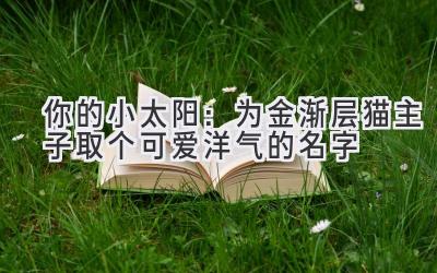  你的小太阳：为金渐层猫主子取个可爱洋气的名字 