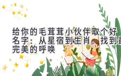 给你的毛茸茸小伙伴取个好名字:从星宿到生肖,找到最完美的呼唤
