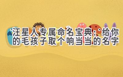 汪星人专属命名宝典:给你的毛孩子取个响当当的名字