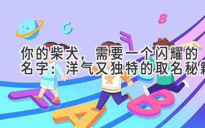 你的柴犬,需要一个闪耀的名字:洋气又独特的取名秘籍