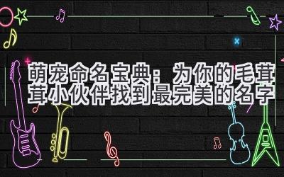 萌宠命名宝典:为你的毛茸茸小伙伴找到最完美的名字