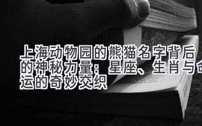 上海动物园的熊猫名字背后的神秘力量:星座、生肖与命运的奇妙交织