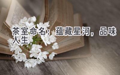  茶室命名：蕴藏星河，品味人生 