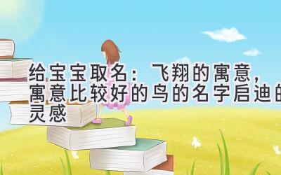 给宝宝取名:飞翔的寓意,寓意比较好的鸟的名字启迪的灵感