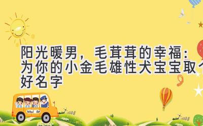阳光暖男,毛茸茸的幸福:为你的小金毛雄性犬宝宝取个好名字